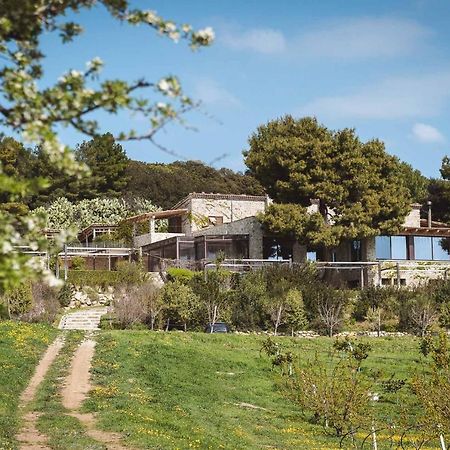 Masseria Agriturismo Torre Di Albidona تريبيساتشيه المظهر الخارجي الصورة