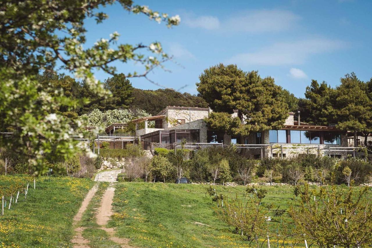 Masseria Agriturismo Torre Di Albidona تريبيساتشيه المظهر الخارجي الصورة