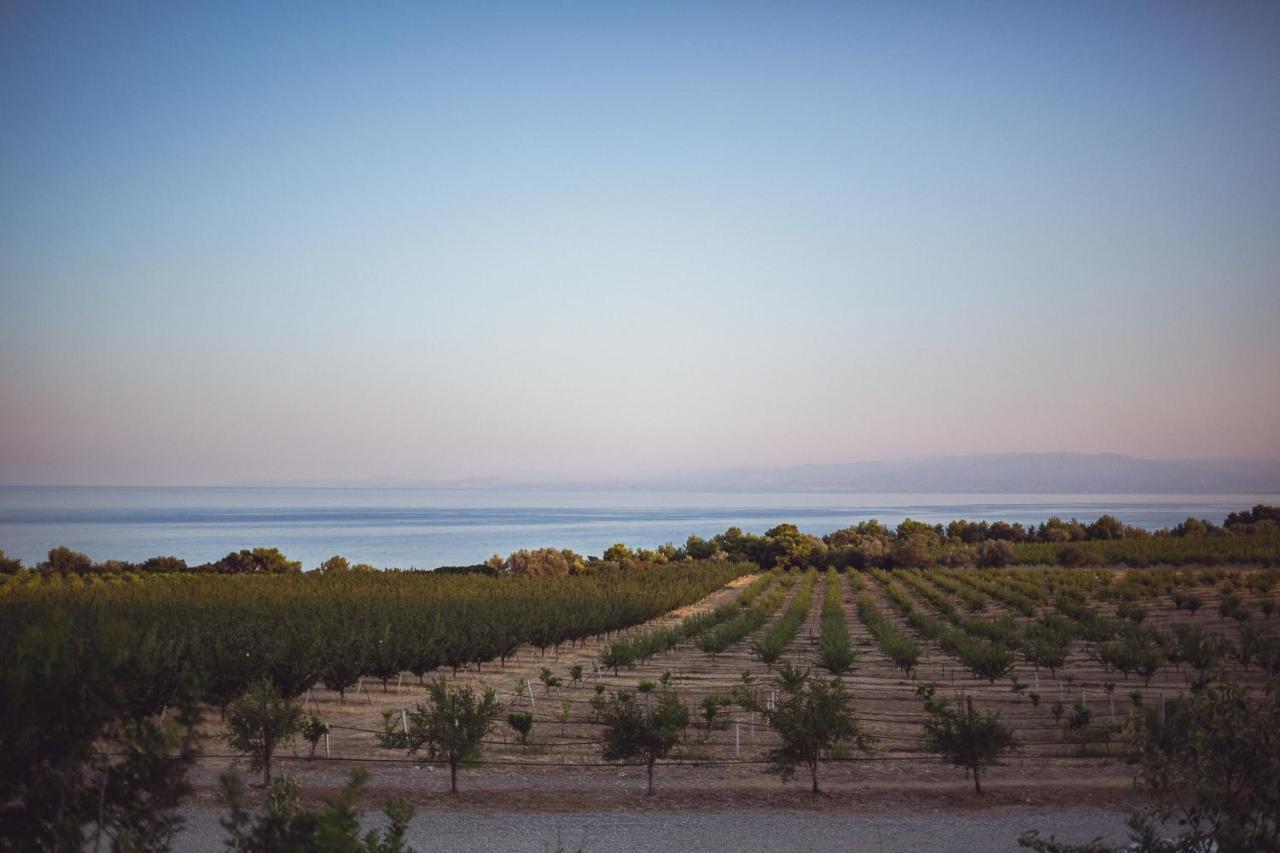 Masseria Agriturismo Torre Di Albidona تريبيساتشيه المظهر الخارجي الصورة