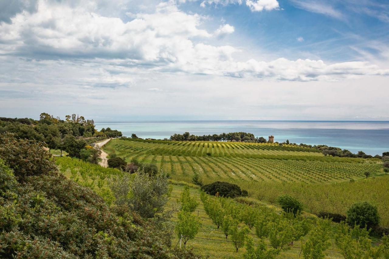 Masseria Agriturismo Torre Di Albidona تريبيساتشيه المظهر الخارجي الصورة
